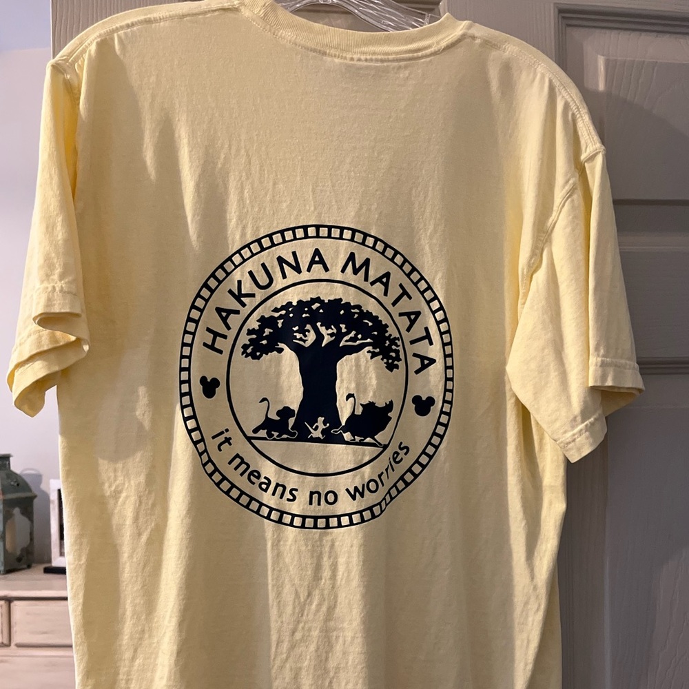 Disney Comfort Color Tee